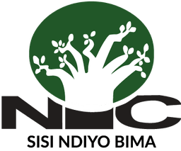 NIC Insurance