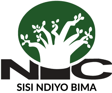 NIC Insurance